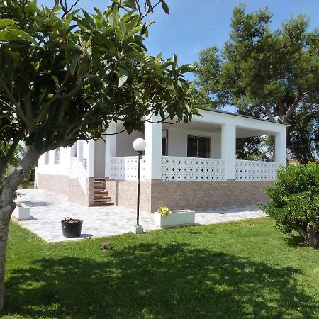 Chalet Verde تافيرنيس دي فالدينيا المظهر الخارجي الصورة